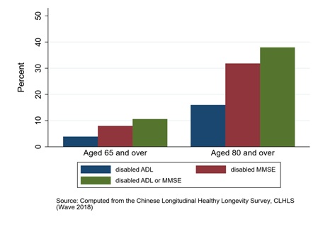Long-Term Care for Older Adults in Rural China: Findings from the Recent Chinese Longitudinal Healthy Longevity Survey