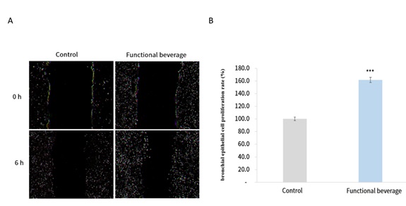 A Functional Beverage Containing <em>Lactobacillus helveticus</em> and <em>Mosla chinensis Maxim</em> Supports Respiratory Health <em>In Vitro</em>