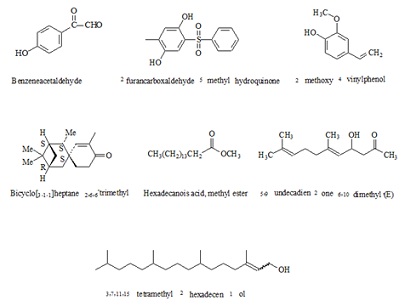 Chemical Composition, Cytotoxic and Antimicrobial Activity of Essential Oil from <em>Tetracarpidium Conophorum</em> Leaves