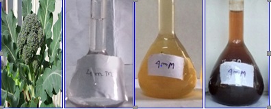 Green Synthesized Silver Nanoparticles Grafted Zinc Ferrite (Ag/Znfe2o4): An Effective Nanocatalyst Fabricated For the Efficient Degradation of Malachite Green (MG) and Methylene Blue (MB)