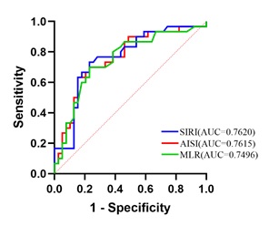 Relationship Between Preoperative SIRI, AISI, and MLR Levels and Prognosis in Patients with NSCLC: A Retrospective Cohort Study