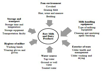 Term paper on the Common contaminants and challenges related to psy-chotropic microbial spoilage of milk and dairy products in Ethiopia