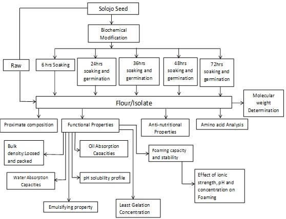 Nutritional Evaluation of Isolates from Two (2) Varieties (DAS & BS) of Underutilized Germinated Nigeria Cultivated Solojo-Cowpea [Vigna Unguiculata (L.) Walp.]