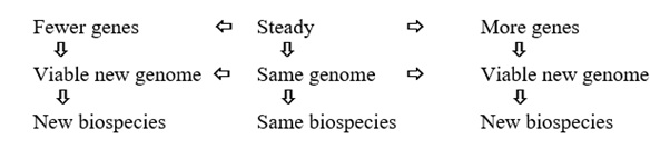 Genetic, Genomic and Bioenergemal Vectorization: A complementary Option to Explain the Origin of New Biospecies: Revised and Enlarged Version