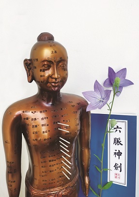 Small RNAs may be Transported through the Meridians