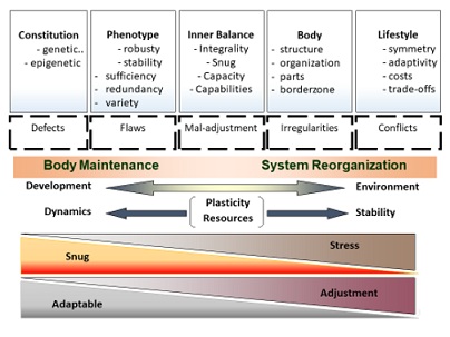 Body Form and Body State, Considered for a Fuller Clinical Framework