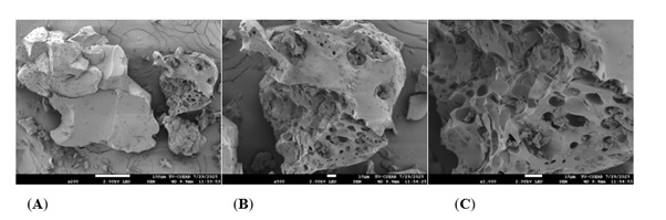 Physical property of A. vera extract by freeze dry