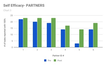 Self efficacy partners