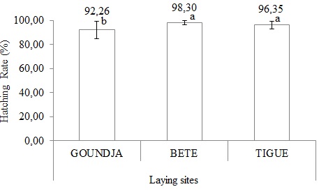 Hatching rate in function of laying sites.