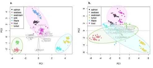 Principal component analysis (PCA) with estimates of parameter a for each component according to an isometric and an allometric model for each species