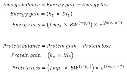 Energy-Protein flux