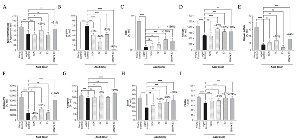 Effect of Ginkgo biloba leaf extract, Proxylane, Niacinamide