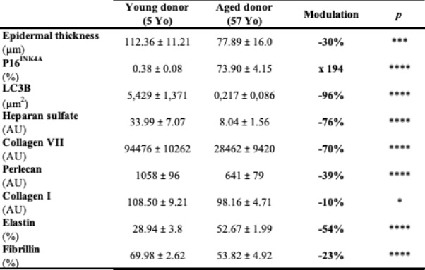 Aging-induced cutaneious structural changes - image analysis