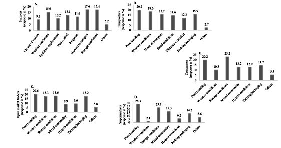 Causes of amaranthus postharvest losses along the supply chain (n=20 for each supply chain node)