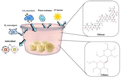 Schematic illustration of the interaction of packaging with the environment, mechanism favoring of shelf-life and possible composition materials.