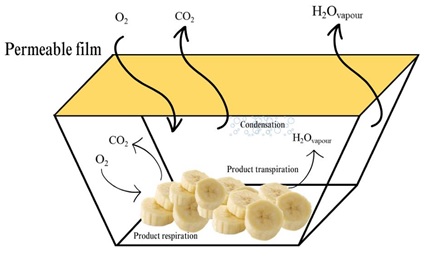 Schematic illustration of the interaction of packaging with modified atmosphere and your mechanism of favoring product shelf-life.