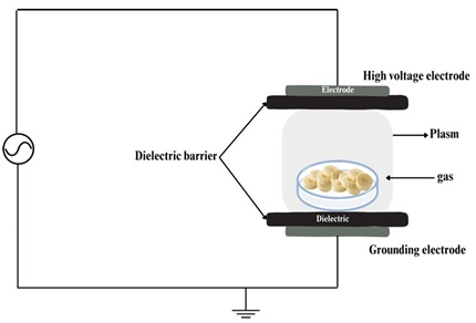 Schematic illustration of dielectric barrier discharge and your mechanism of operation.