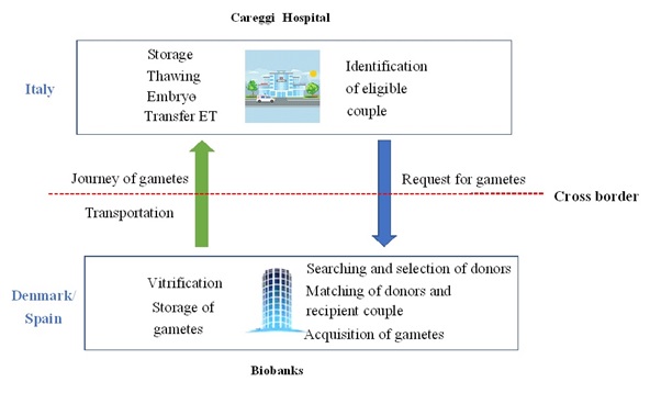 Two Countries, Two Centers. Procurement of gametes. Two Countries, Two Centers. Procurement of gametes.